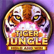 Bảo mật dữ liệu fun88