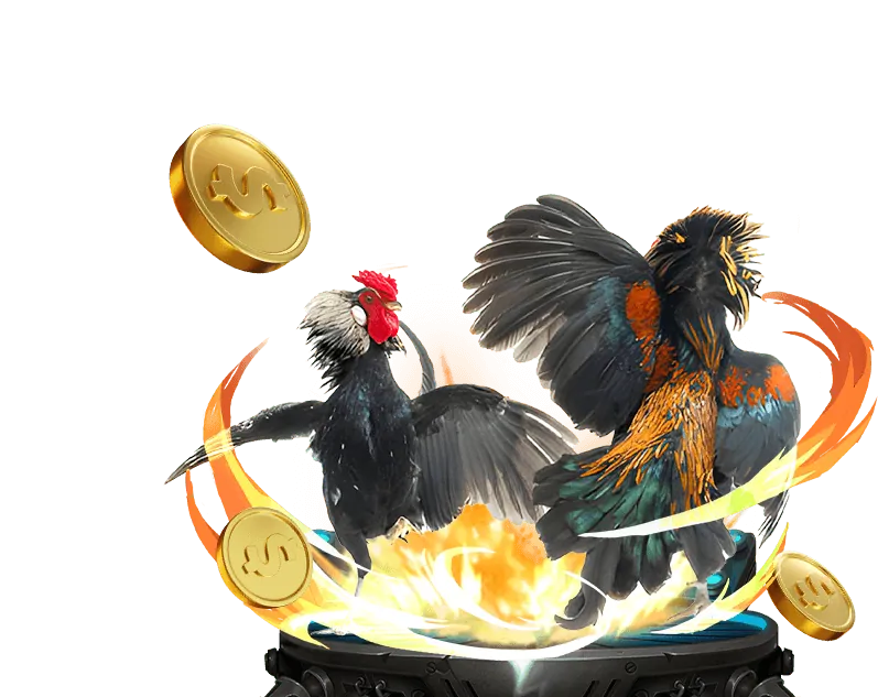 Tổng quan thư viện tài nguyên Fun88